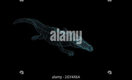 3d illustration - wireframe of crocodile  on black background Stock Photo