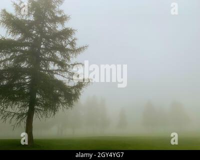 Crans Sur Sierre Golf Course with Fog and Trees in Crans Montana in Valais, Switzerland. Stock Photo
