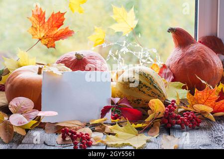 An empty card for text, mock up layout, an autumn greeting letter on an autumn background of yellow fallen leaves, orange pumpkins. Autumn mood and fa Stock Photo