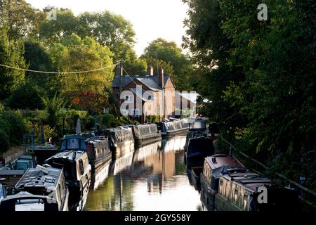 The Saltisford Arm of the Grand Union Canal, early morning, Warwick, warwickshire, England, UK Stock Photo