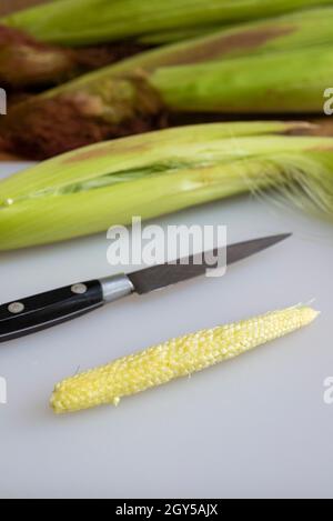 Freshly hulled baby sweetcorn / babycorn on a white chopping board. Stock Photo