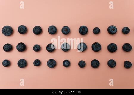 Top view of blueberries arranged in rows on a pink background Stock Photo