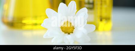 Chamomile flower and organic oil from flowers on table in test tubes Stock Photo