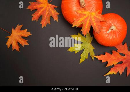 Autumn composition. Pumpkin, Red, yellow and orange colored autumn leaves on black background. Thanksgiving day card, background. Space for text. Stock Photo