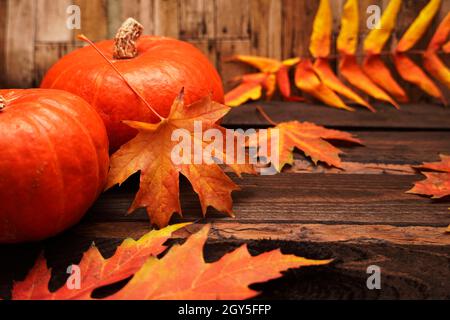 Autumn composition. Pumpkin, Red, yellow and orange colored autumn leaves on black background. Thanksgiving day card, background. Space for text. Stock Photo