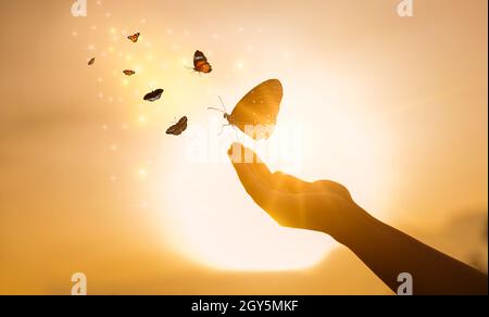 The girl frees the butterfly from  moment Concept of freedom Stock Photo