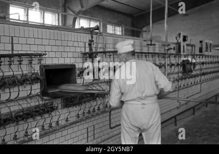 Bäcker bei der täglichen Arbeit in der Brotfabrik Schlüterbrot in Berlin, Deutschland 1930er Jahre. Bakers at their daily business at Schlueterbrot bakeries in Berlin, Germany 1930s. Stock Photo