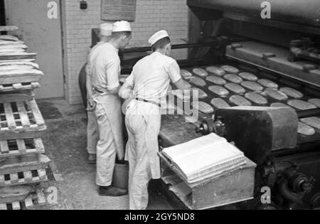 Bäcker bei der täglichen Arbeit in der Brotfabrik Schlüterbrot in Berlin, Deutschland 1930er Jahre. Bakers at their daily business at Schlueterbrot bakeries in Berlin, Germany 1930s. Stock Photo