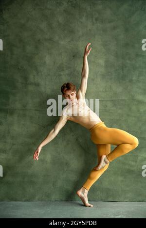 Female Ballet Dancer Reference Pose 022