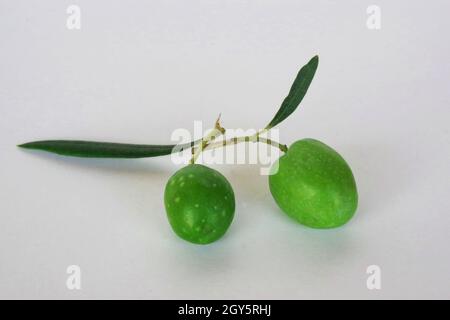 Olive fruit close-up Stock Photo