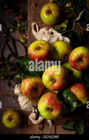 A collection of eating apples in a wire bowl on a wooden board. Stock Photo