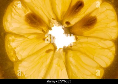 Yellow lemon slice with seed extreme close-up Stock Photo