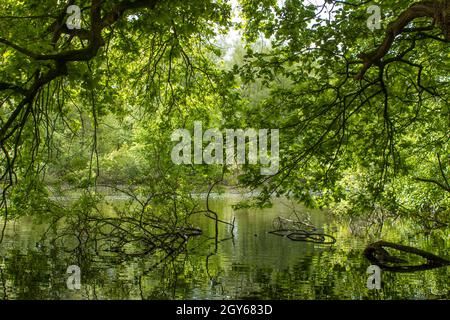 German countryside landscape, Lower Rhine Region, Germany Stock Photo