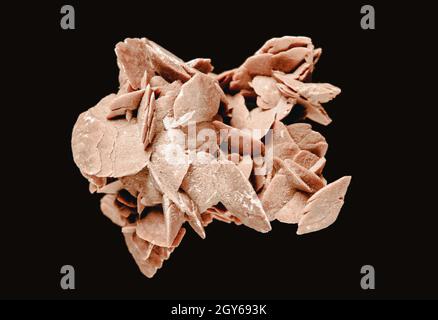Desert rose crystal isolated on black background. Closeup view Stock Photo