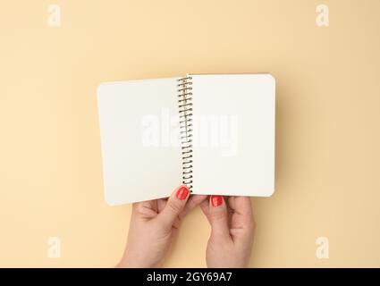 two female hands hold an open notebook with blank white sheets on a beige background, top view Stock Photo
