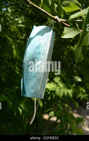 A polluting face mask found discarded and trapped on a tree branch from the current Covid19 pandemic that has struck the Global economy. Stock Photo