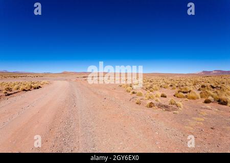 Bolivian dirt road perspective view,Bolivia. Andean plateau view Stock Photo