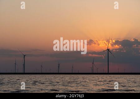 Silhouettes of wind turbines farm Behind the Lake at Sunset Stock Photo ...