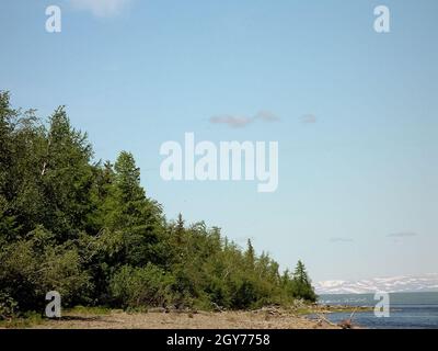 Forest tundra landscape in the summer. Taiga of Siberia. Yamal Stock Photo