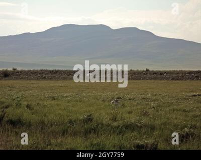Landscape of the tundra in summer. Summer tundra on the Yamal Peninsula. Western Siberia Stock Photo