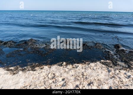 Oil pollution In the Sea at Coastline. Black Color Sea Waves on white Sand Stock Photo