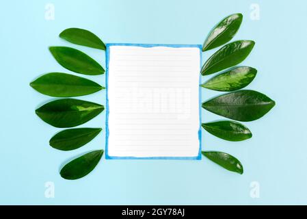 Nature Theme Presentation Ideas And Designs, Displaying Renewable Materials Stock Photo