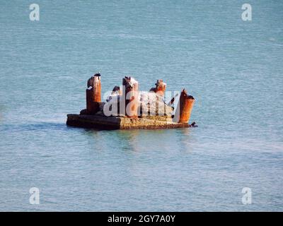 Ruined pier. Rusty pier support. Rusty destroyed pier support. Caspian Sea. Kazakhstan. Mangistau region. 08 October. 2019 year. Stock Photo