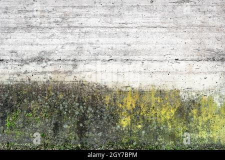 Mold and moss on grunge wall texture. The surface of old concrete wall covered with moss or algae. Stock Photo