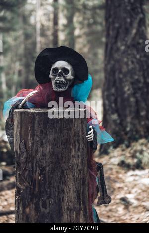 Human skeleton, ghost in rags and hat, peeks out from behind an old mossy stump in the forest. Close-up. Selective focus. Concept Halloween background Stock Photo