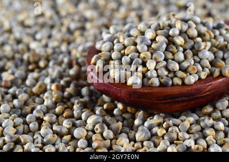 close up of Pearl Millet (Bajra) with wooden spoon. Stock Photo