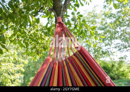 Close-up color travel hammock for relaxing in the trees. A colorful empty hammock between two trees, one side tied to a tree. Summer camping. Outdoors Stock Photo