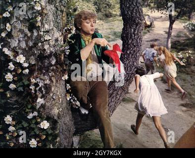 Finian's Rainbow Year : 1968 USA Director: Francis Ford Coppola Tommy Steele Stock Photo
