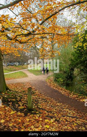 Homosexual couple hold hands walking on a path covered in yellow and brown leaves in winter Stock Photo