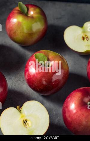 Healthy Organic Mcintosh Apples Ready to Eat Stock Photo