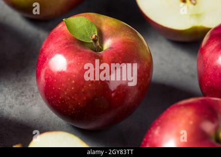 Healthy Organic Mcintosh Apples Ready to Eat Stock Photo
