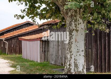 The huts of the oyster fisher are all colourful decorated in stripes and border the small port of Audenge, bassin d'Arcachon, France Stock Photo