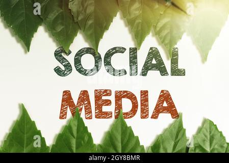 Text caption presenting Social Media, Conceptual photo Online communication channel Networking Microblogging Saving Environment Ideas And Plans, Creat Stock Photo