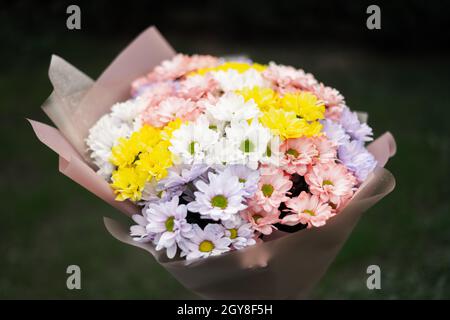 Flowers bouquet made of multicolored delicate pastel colors chrysanthemum flowers. Floral concept Stock Photo