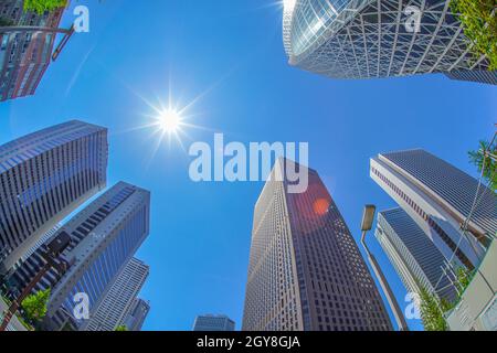 Fresh green of Shinjuku. Shooting Location: Tokyo metropolitan area Stock Photo