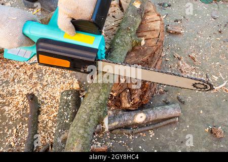 side view of sawing tree branch with electric chain saw in backyard Stock Photo