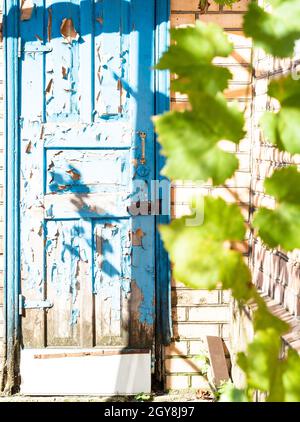 shabby blue wooden outdoor door of shed on sunny day Stock Photo