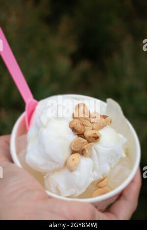 Thai style coconut milk ice cream, stock photo Stock Photo