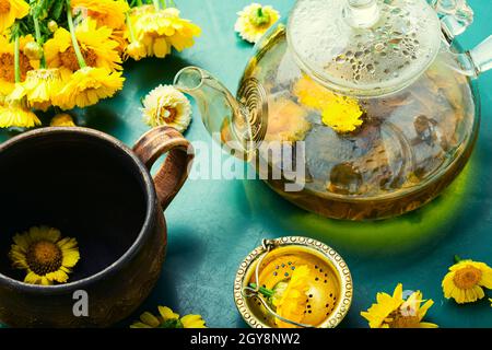 Glass teapot with chrysanthemum flower tea. Flower tea. Herbal medicine. Herbal medicine and homeopathy.Herbal tea. Stock Photo