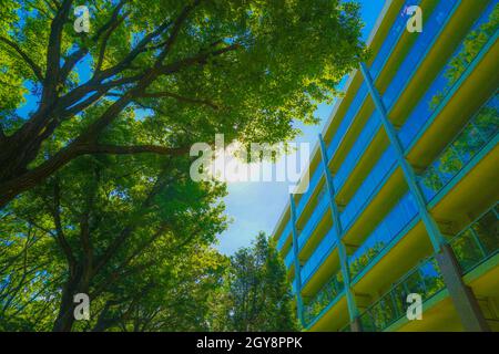 Tamagawa and buildings wrapped in fresh green. Shooting Location: Tokyo Akishima Stock Photo