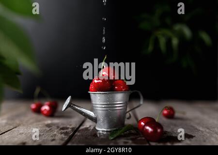 Wet sweet cherry berries in small watering can on wooden background table with flowing water stream and drops. Freshness, summer concept. Eco, bio far Stock Photo