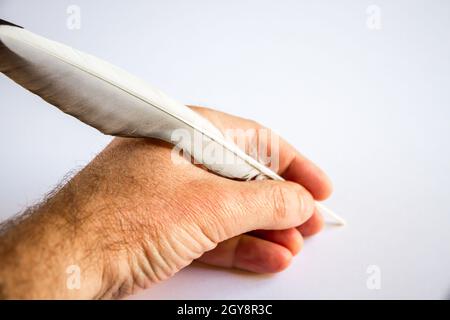 hand writing with a bird feather isolated on white background Stock Photo