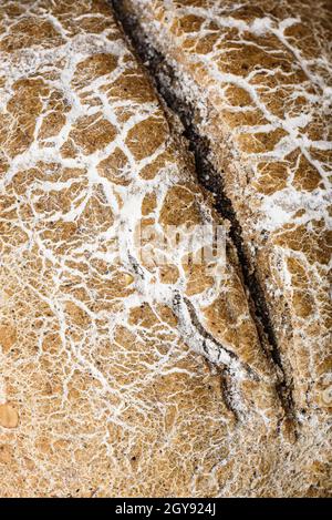 Background of freshly baked loaf of rye bread Stock Photo