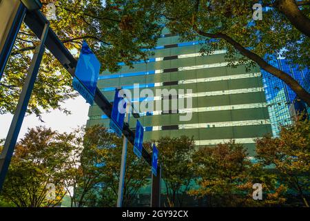 Sky of Shinjuku of buildings and autumn. Shooting Location: Tokyo metropolitan area Stock Photo