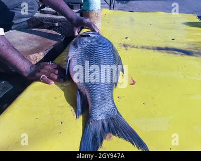 Fisherman (salesman) is cutting fresh tuna fish in the open air fish market or restaurant Stock Photo