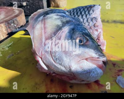 Close-up of male hands cutting big grouper fish on a wooden board with two knives. Process of cooking. Stock Photo